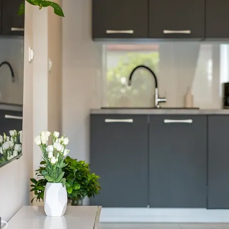 Apartman Angel זאדאר